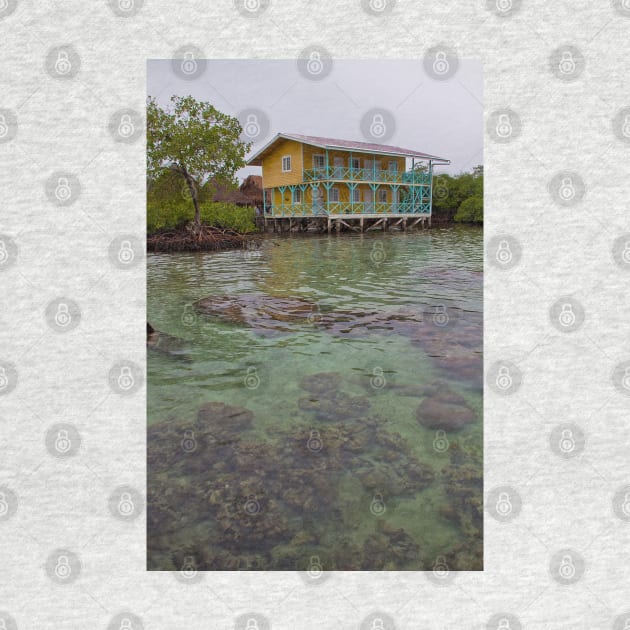 Panama. Bocas del Toro. Coral reef. by vadim19